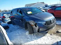 5FNRL6H80PB005769 2023 HONDA ODYSSEY