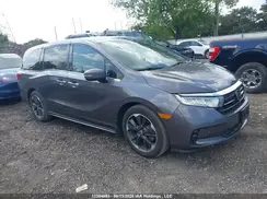 5FNRL6H80PB504216 2023 HONDA ODYSSEY