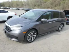 5FNRL6H80RB001448 2024 HONDA ODYSSEY