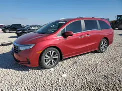 5FNRL6H80RB013129 2024 HONDA ODYSSEY
