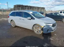 5FNRL6H80RB020176 2024 HONDA ODYSSEY