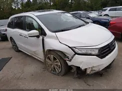 5FNRL6H80RB024910 2024 HONDA ODYSSEY