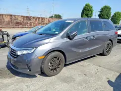 5FNRL6H80RB026527 2024 HONDA ODYSSEY
