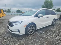 5FNRL6H80RB032652 2024 HONDA ODYSSEY