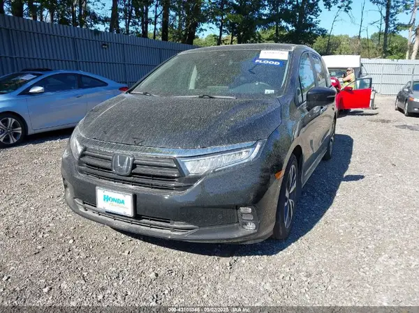 5FNRL6H80RB033266 2024 HONDA ODYSSEY - Image 2