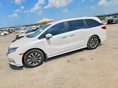 5FNRL6H80RB035129 2024 HONDA ODYSSEY