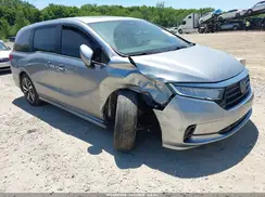 5FNRL6H80RB053565 2024 HONDA ODYSSEY