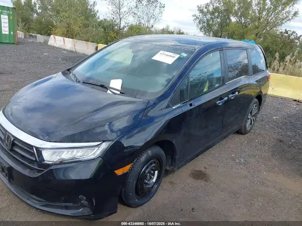 5FNRL6H80RB054991 2024 HONDA ODYSSEY - Image 2