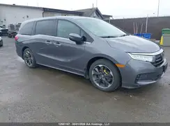 5FNRL6H80RB503814 2024 HONDA ODYSSEY