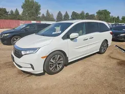 5FNRL6H81MB020566 2021 HONDA ODYSSEY