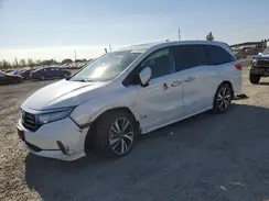 5FNRL6H81MB032247 2021 HONDA ODYSSEY