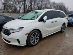 5FNRL6H81NB049132 2022 HONDA ODYSSEY