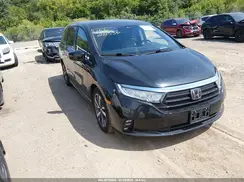 5FNRL6H81PB008583 2023 HONDA ODYSSEY