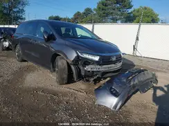 5FNRL6H81PB502216 2023 HONDA ODYSSEY