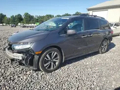 5FNRL6H81RB001443 2024 HONDA ODYSSEY