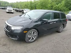 5FNRL6H81RB002382 2024 HONDA ODYSSEY