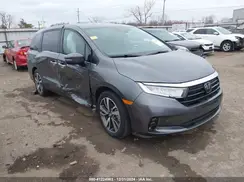 5FNRL6H81RB009817 2024 HONDA ODYSSEY