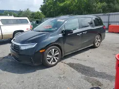 5FNRL6H81RB013768 2024 HONDA ODYSSEY