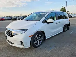 5FNRL6H81RB019571 2024 HONDA ODYSSEY