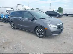 5FNRL6H81RB023586 2024 HONDA ODYSSEY