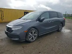 5FNRL6H81RB024074 2024 HONDA ODYSSEY
