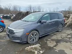 5FNRL6H81RB028951 2024 HONDA ODYSSEY