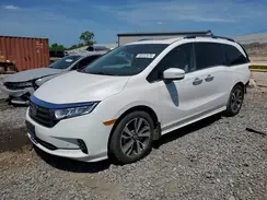 5FNRL6H81RB030070 2024 HONDA ODYSSEY