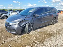 5FNRL6H81RB041540 2024 HONDA ODYSSEY