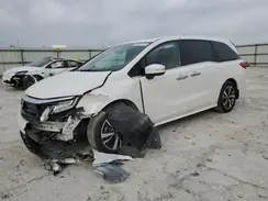 5FNRL6H81RB063067 2024 HONDA ODYSSEY