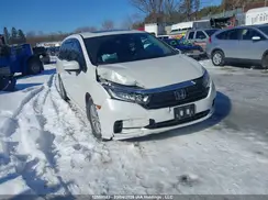 5FNRL6H81RB502882 2024 HONDA ODYSSEY