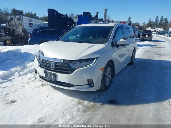 5FNRL6H81RB502882 2024 HONDA ODYSSEY - Image 2