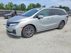 5FNRL6H81SB006387 2025 HONDA ODYSSEY