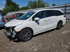 5FNRL6H81SB007359 2025 HONDA ODYSSEY
