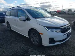 5FNRL6H81SB031581 2025 HONDA ODYSSEY