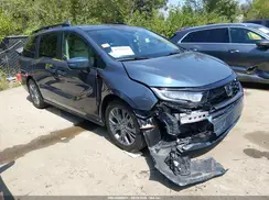 5FNRL6H81TB005371 2026 HONDA ODYSSEY