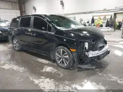 5FNRL6H82PB080246 2023 HONDA ODYSSEY