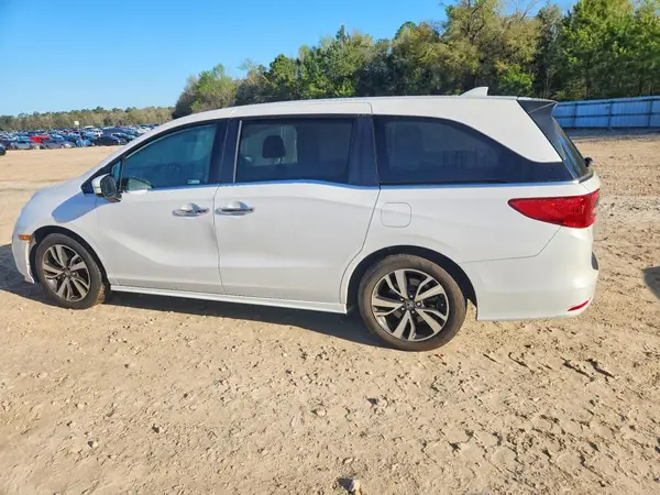 5FNRL6H82RB005307 2024 HONDA ODYSSEY - Image 2