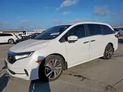 5FNRL6H82RB013455 2024 HONDA ODYSSEY