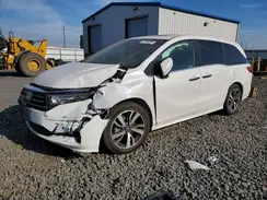 5FNRL6H82RB026416 2024 HONDA ODYSSEY