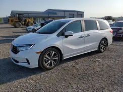 5FNRL6H82RB039313 2024 HONDA ODYSSEY