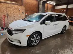 5FNRL6H82RB048657 2024 HONDA ODYSSEY