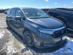 5FNRL6H82RB503913 2024 HONDA ODYSSEY
