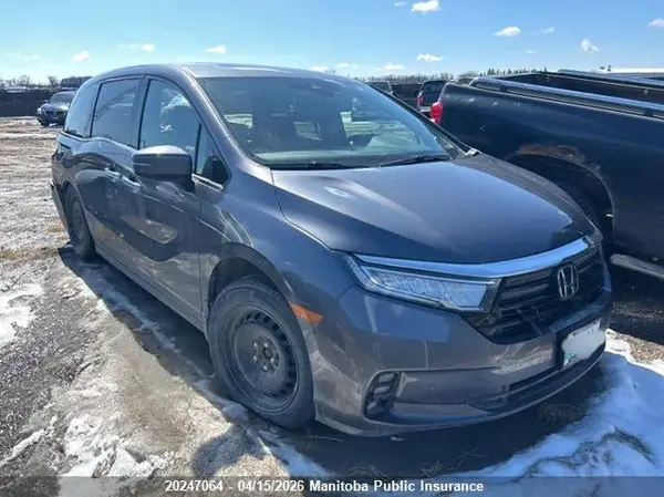 5FNRL6H82RB503913 2024 HONDA ODYSSEY - Image 1