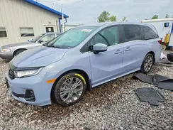 5FNRL6H82TB029503 2026 HONDA ODYSSEY