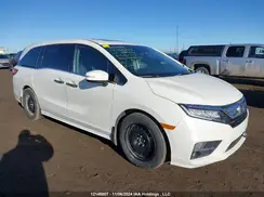 5FNRL6H83KB506146 2019 HONDA ODYSSEY