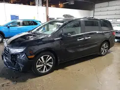 5FNRL6H83PB023991 2023 HONDA ODYSSEY
