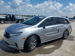5FNRL6H83PB033503 2023 HONDA ODYSSEY
