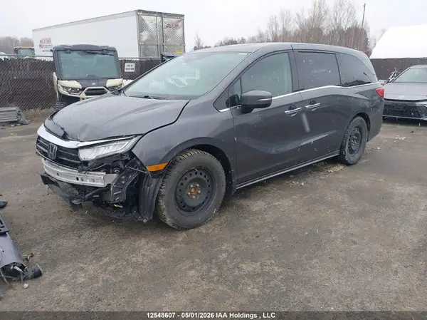 5FNRL6H83PB501259 2023 HONDA ODYSSEY - Image 2