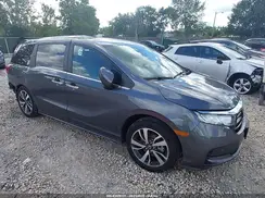 5FNRL6H83RB030233 2024 HONDA ODYSSEY