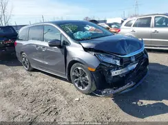 5FNRL6H83RB500633 2024 HONDA ODYSSEY